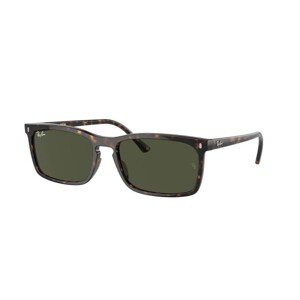 Ray-Ban RB4435 902/31 - L (59)