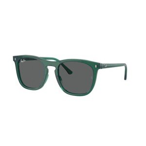Ray-Ban RB2210 6615B1 - ONE SIZE (53)
