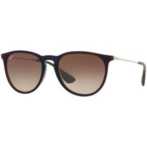 Ray-Ban Erika Classic RB4171 631513 - ONE SIZE (54)