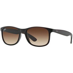 Ray-Ban Andy RB4202 607313 - ONE SIZE (55)