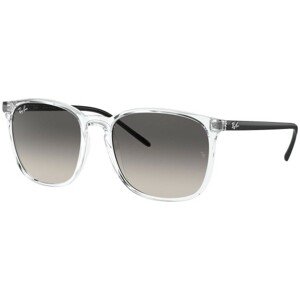 Ray-Ban RB4387 647711 - ONE SIZE (56)