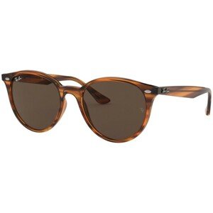 Ray-Ban RB4305 820/73 - ONE SIZE (53)