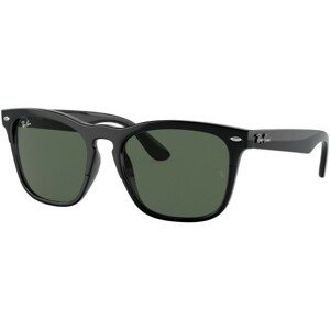 Ray-Ban Steve RB4487 662971 - ONE SIZE (54)