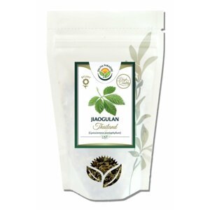 Salvia Paradise Jiaogulan Thailand HQ ženšen pětilistý - 100 g